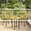 Garden Chairs 2 Pcs 48X62X84 Cm Pe Rattan